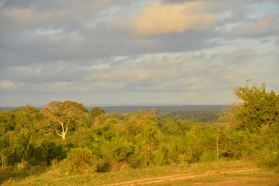 DSC_4326 (Large).JPG